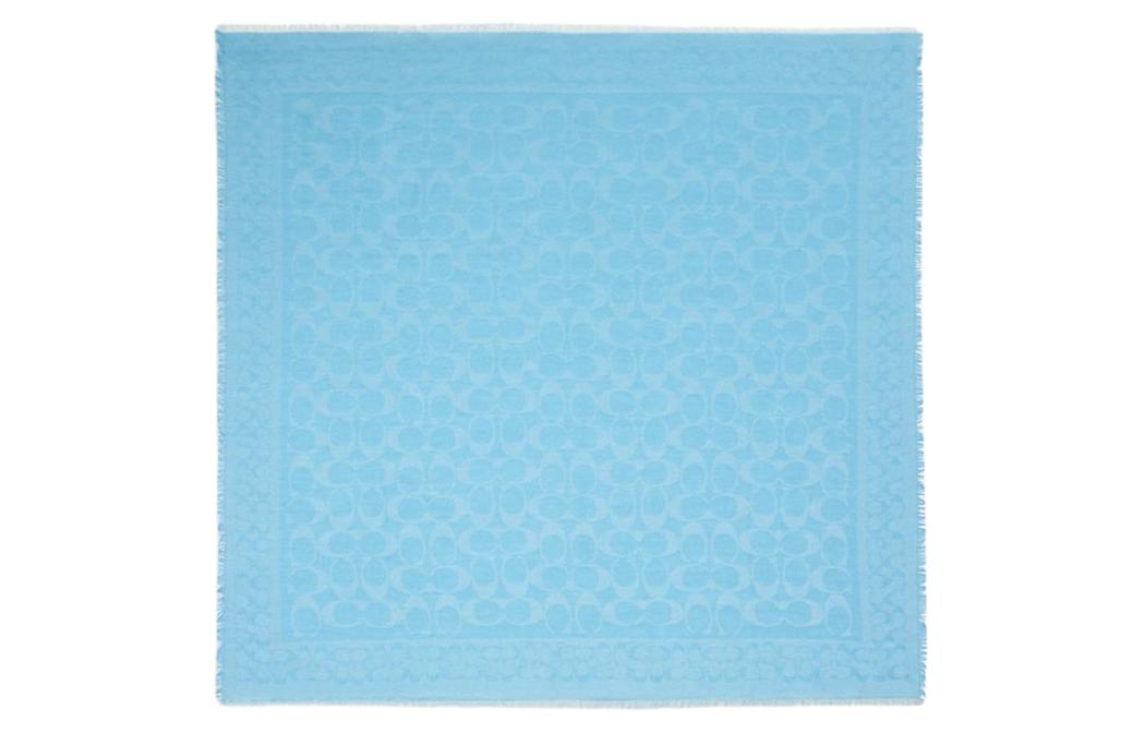 Вязаный шарф женский синий COACH
Вязаный шарф женский синий COACH