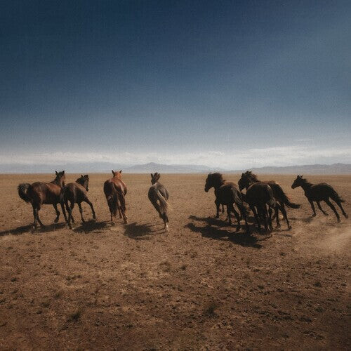 Виниловая пластинка Dan Shake: Verde
Виниловая пластинка Dan Shake: Verde