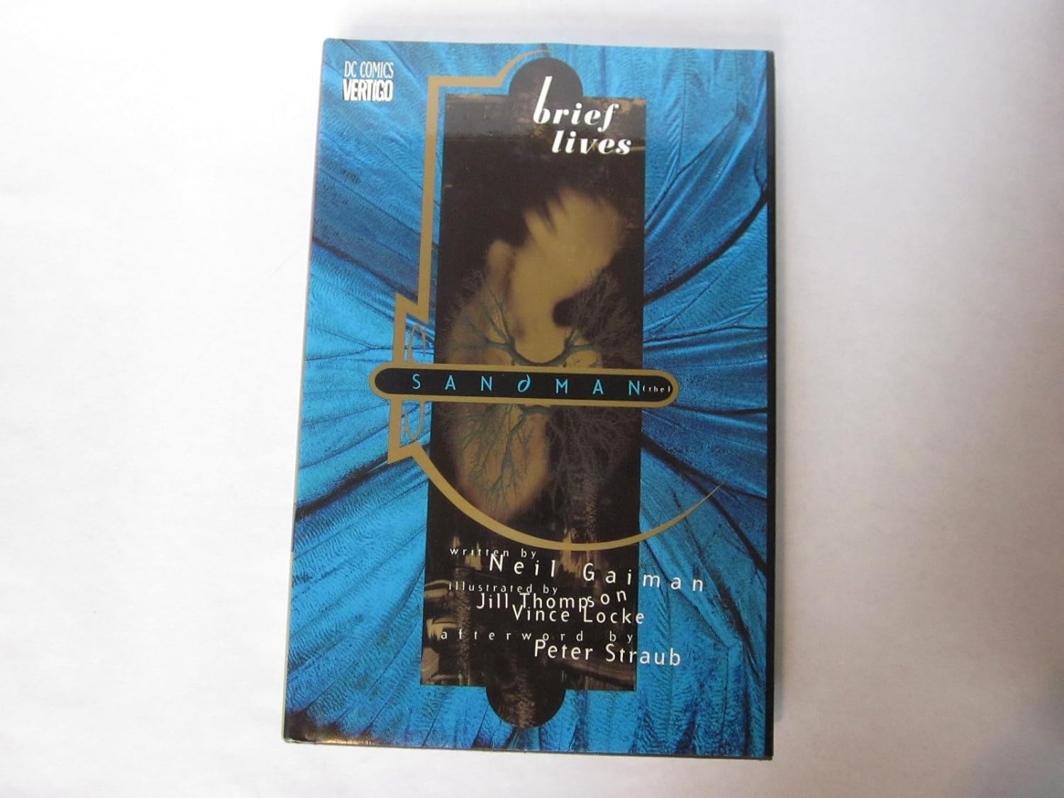 Sandman, The: Brief Lives - Book VII (Vertigo)
Sandman, The: Brief Lives - Book VII (Vertigo)
