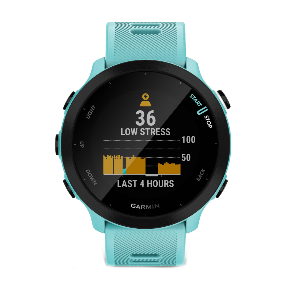 Умные часы Garmin Forerunner 55, голубой
Умные часы Garmin Forerunner 55, голубой