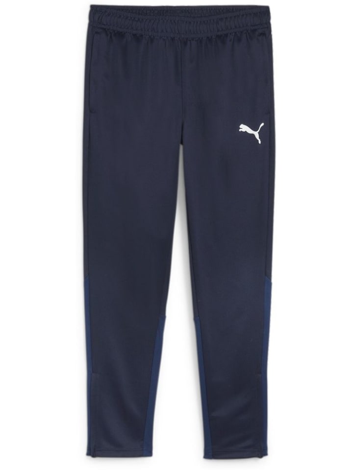 Спортивные брюки TeamGoal Training Pant синего цвета Puma
Спортивные брюки TeamGoal Training Pant синего цвета Puma