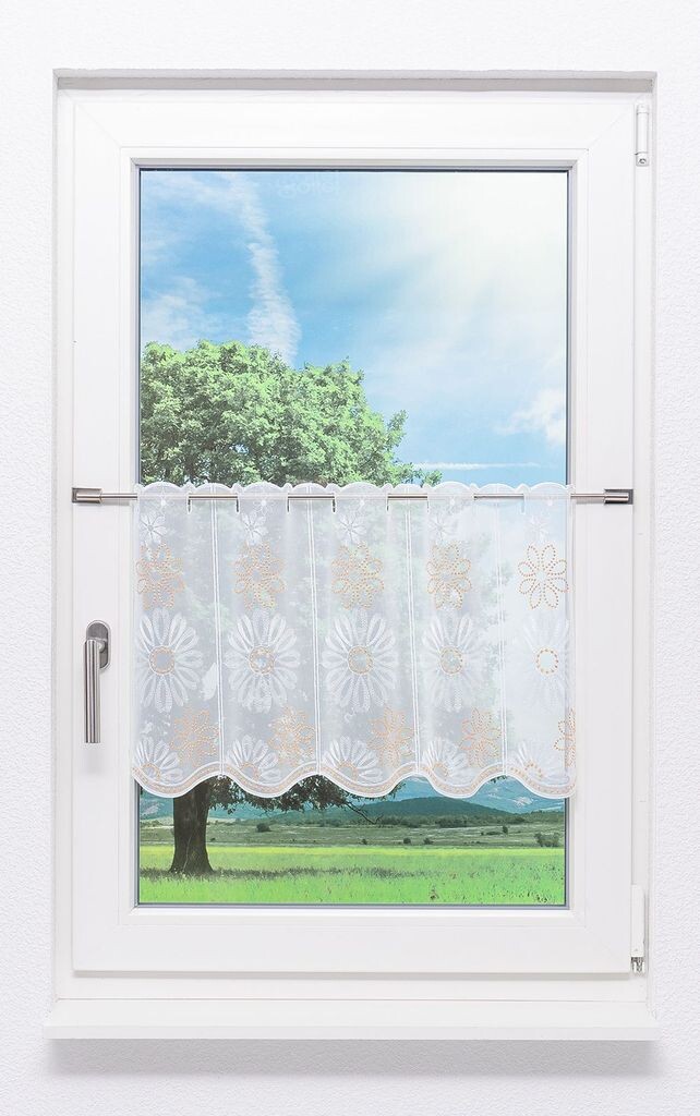 Панельная штора Plauener Spitze - Flower time (Ш x В) 259,2см * 40см терра/оранжевый
Панельная штора Plauener Spitze - Flower time (Ш x В) 259,2см * 40см терра/оранжевый