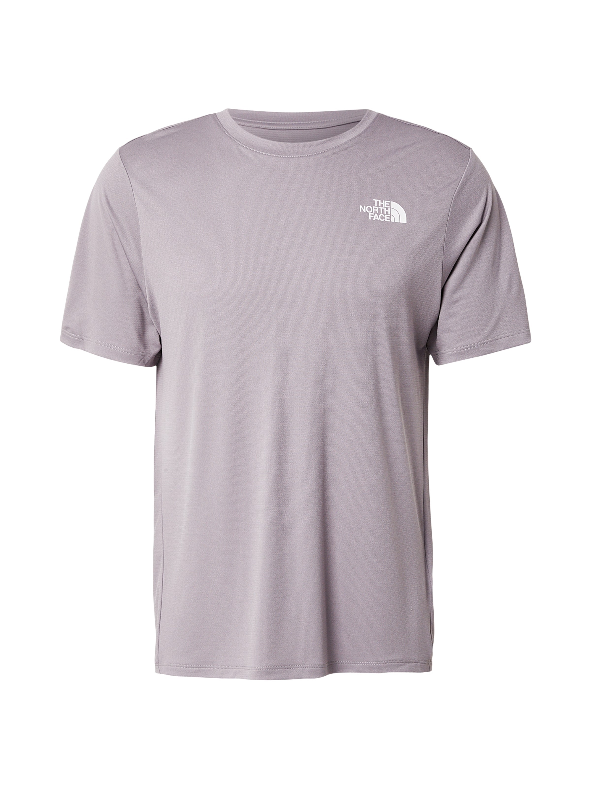 THE NORTH FACE Футболка Performance в светло-сером цвете
THE NORTH FACE Футболка Performance в светло-сером цвете
