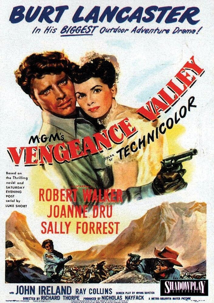 Диск DVD Vengeance Valley
Диск DVD Vengeance Valley