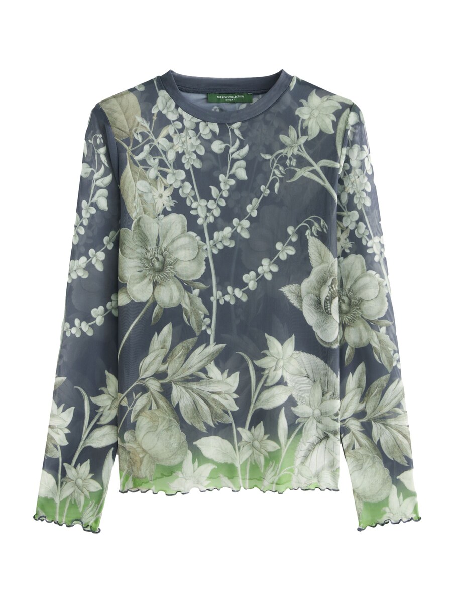 Лонгслив Next Shirt, синий
Лонгслив Next Shirt, синий