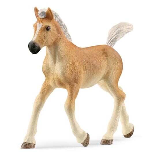 Schleich, статуэтка, жеребенок породы хафлингер
Schleich, статуэтка, жеребенок породы хафлингер