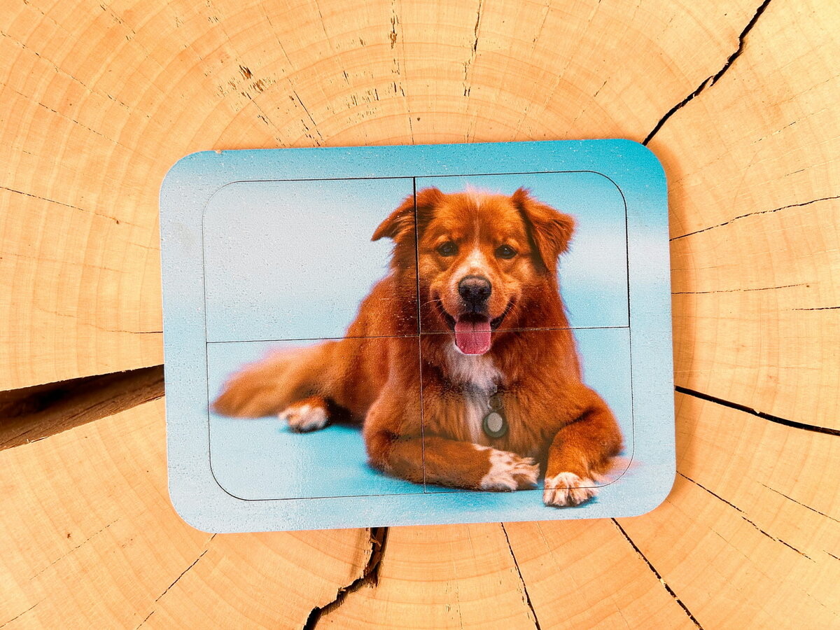 Собака, деревянный пазл с четырьмя элементами, основа с подписью, первый пазл Inna marka
Собака, деревянный пазл с четырьмя элементами, основа с подписью, первый пазл Inna marka