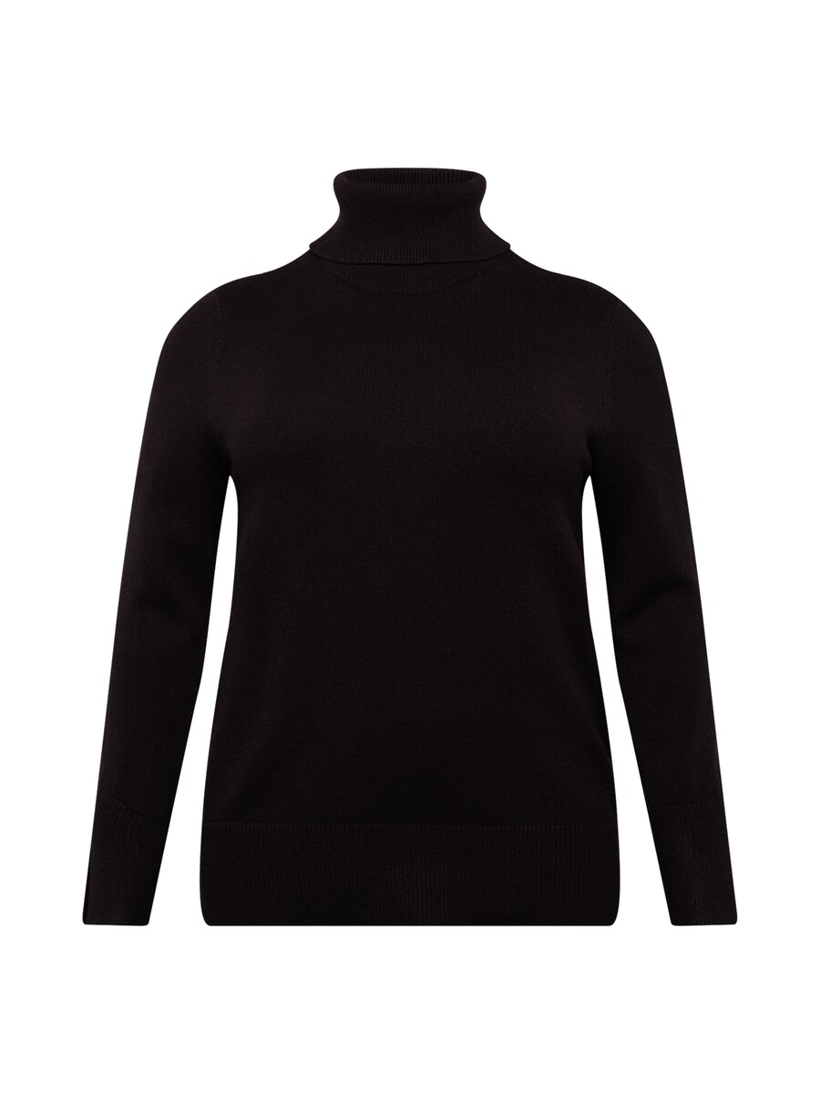 Водолазка ONLY Carmakoma Sweater Fia, черный 
Водолазка ONLY Carmakoma Sweater Fia, черный