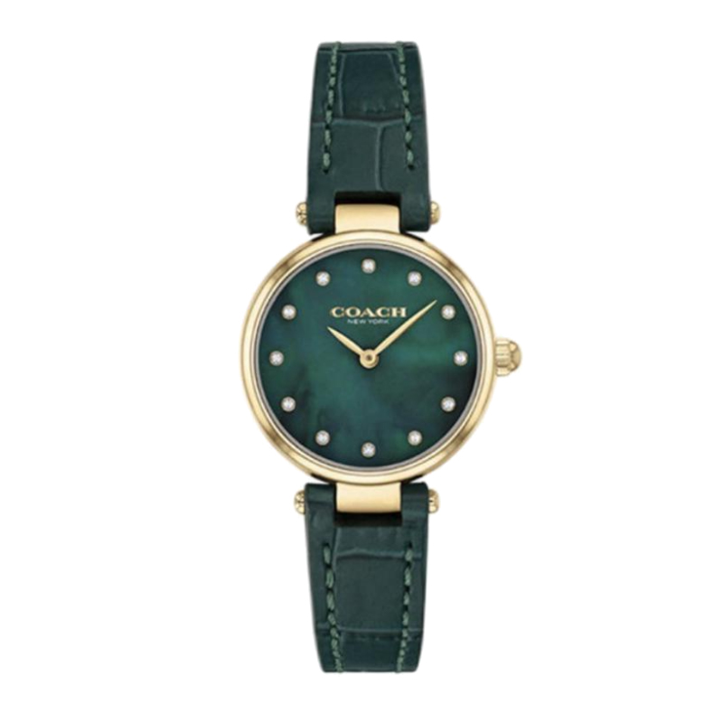 Часы PARK Collection с кварцевым механизмом, кожаным ремешком из коровьей кожи, 26 мм, зеленый циферблат, женские часы COACH
Часы PARK Collection с кварцевым механизмом, кожаным ремешком из коровьей кожи, 26 мм, зеленый циферблат, женские часы COACH