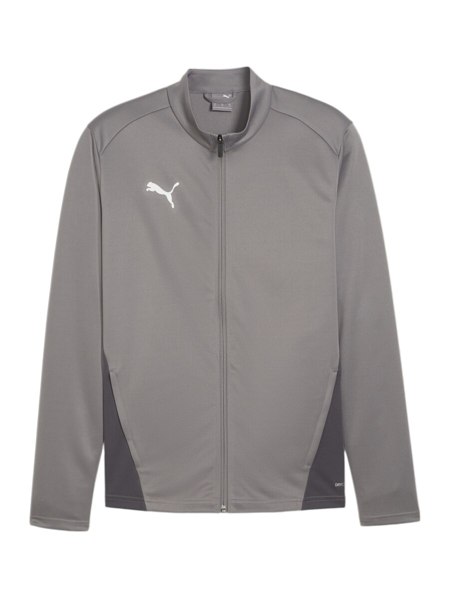 Тренировочная куртка PUMA Team Goal, темно-серый
Тренировочная куртка PUMA Team Goal, темно-серый