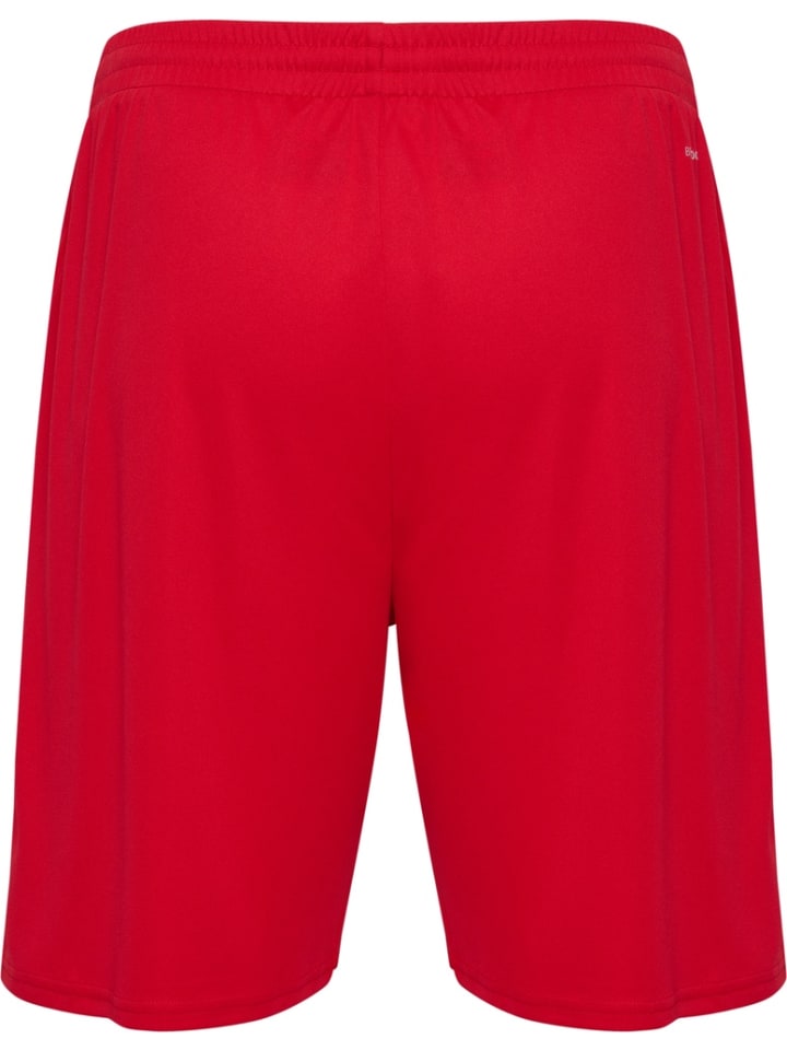 Короткие шорты Essential Shorts красного цвета Hummel
Короткие шорты Essential Shorts красного цвета Hummel