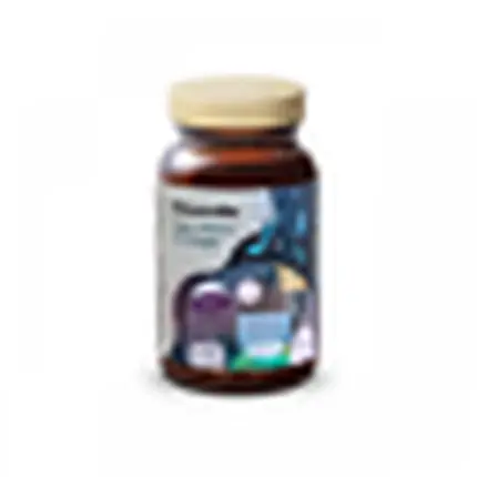 Грива львиная грива, Health Labs
Грива львиная грива, Health Labs