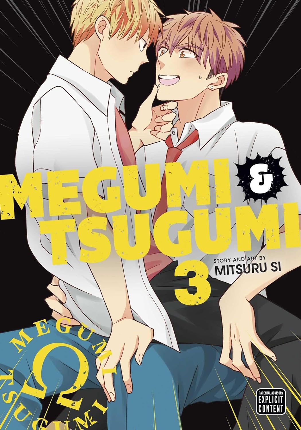 Megumi & Tsugumi, Vol. 3 (SuBLime)
Megumi & Tsugumi, Vol. 3 (SuBLime)