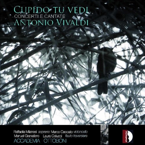 CD диск Vivaldi / Milanesi / Colucci / Granatiero / Ceccat: Cupido Tu Vedi
CD диск Vivaldi / Milanesi / Colucci / Granatiero / Ceccat: Cupido Tu Vedi