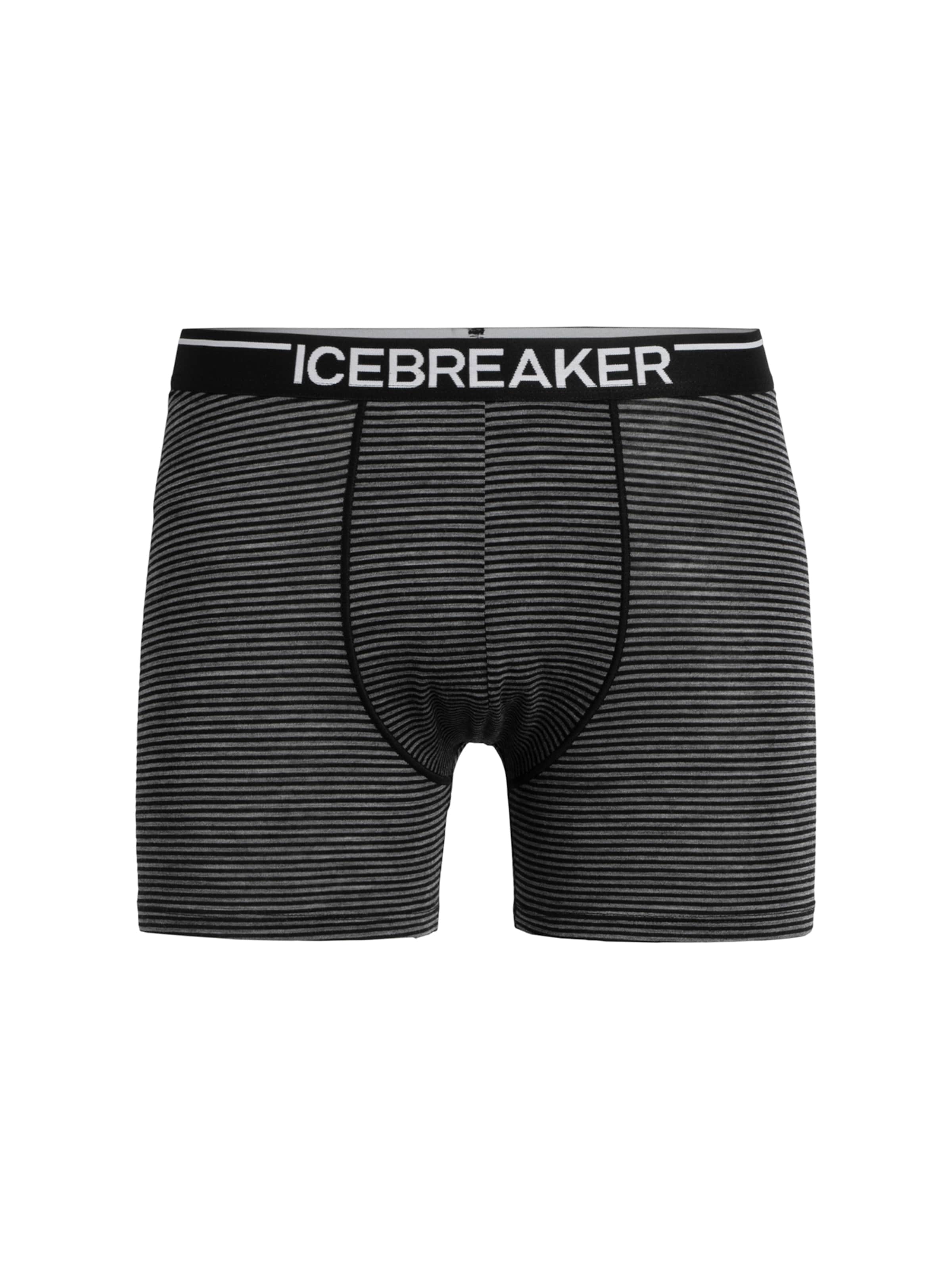 ICEBREAKER Спортивное белье 'Anatomica' в сером цвете
ICEBREAKER Спортивное белье 'Anatomica' в сером цвете