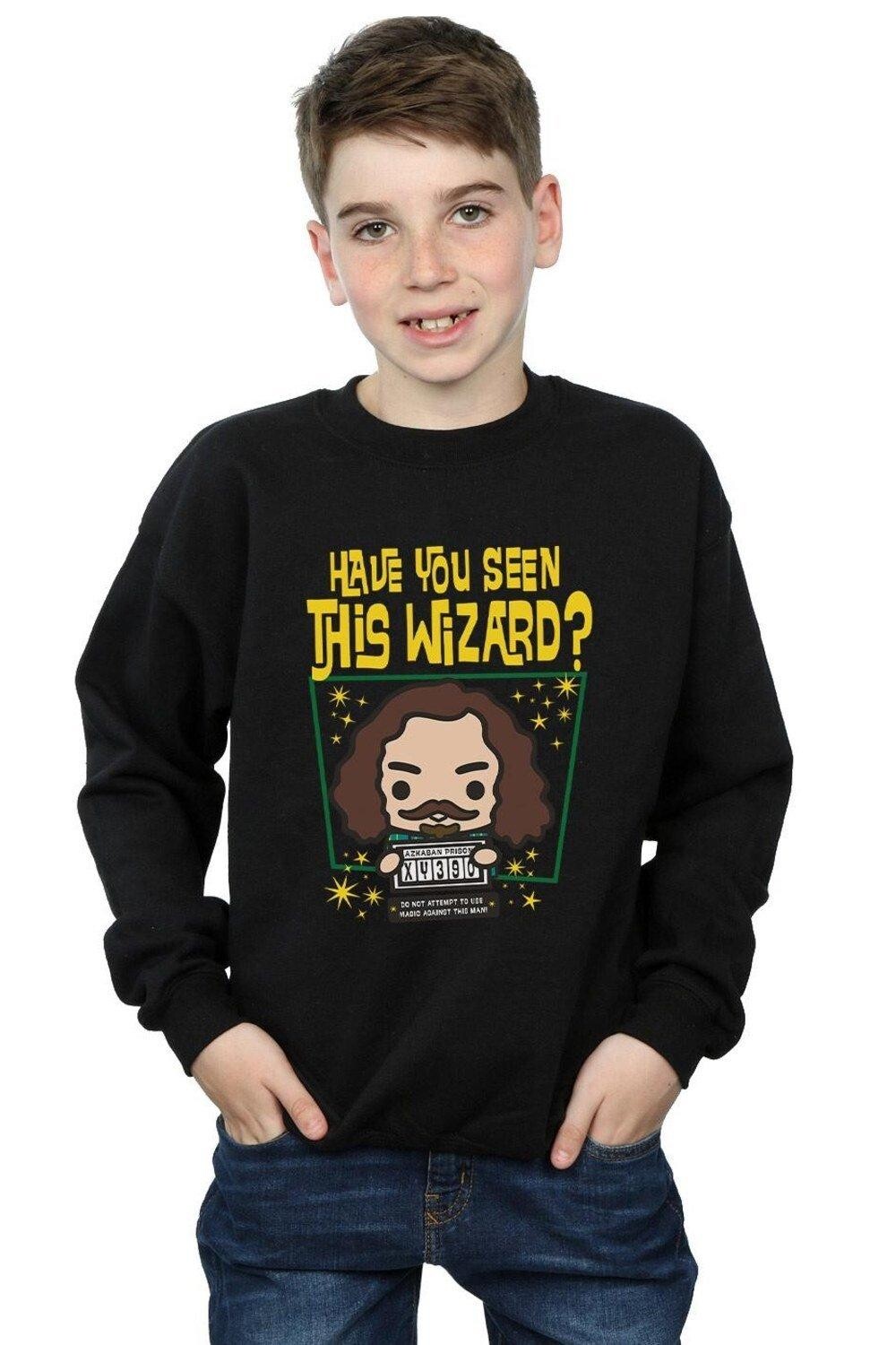 Толстовка Sirius Black Azkaban Harry Potter, черный
Толстовка Sirius Black Azkaban Harry Potter, черный