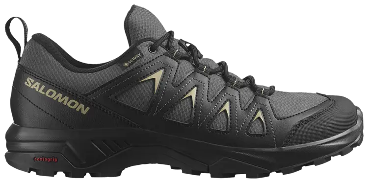 Кроссовки Salomon X Braze GORE-TEX, черный
Кроссовки Salomon X Braze GORE-TEX, черный