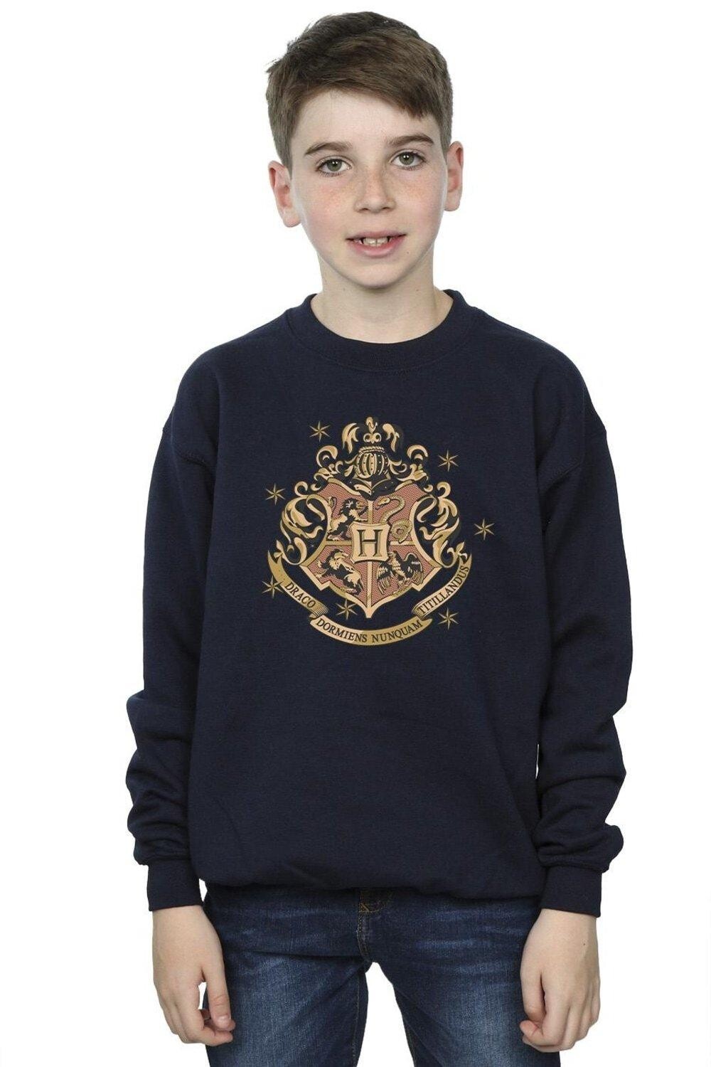 Золотая толстовка с гербом Хогвартса Harry Potter, темно-синий 
Золотая толстовка с гербом Хогвартса Harry Potter, темно-синий