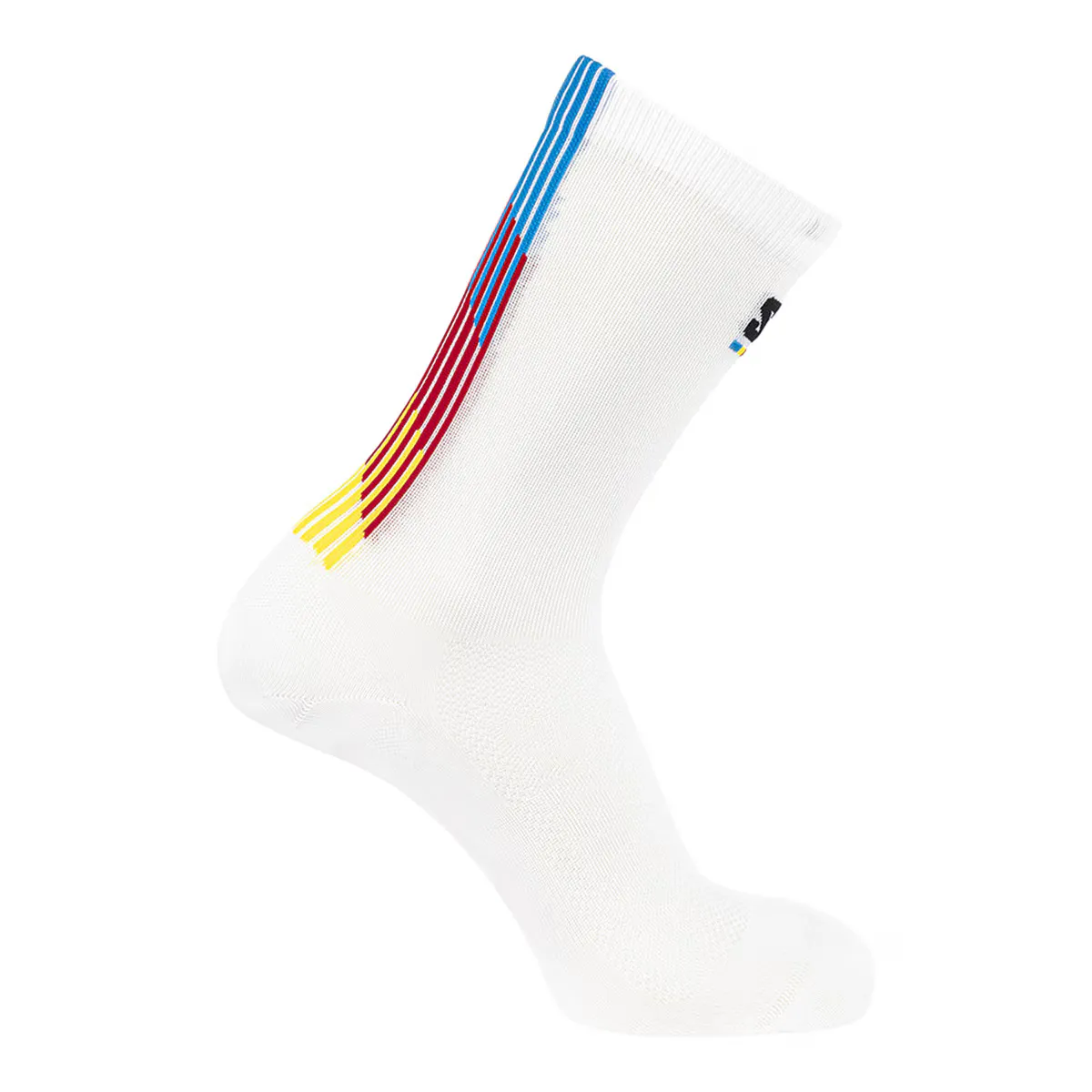 Носки для бега унисекс Pulse Race Flag Crew Salomon, белый
Носки для бега унисекс Pulse Race Flag Crew Salomon, белый