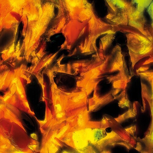 CD диск Plague Rider: Intensities
CD диск Plague Rider: Intensities