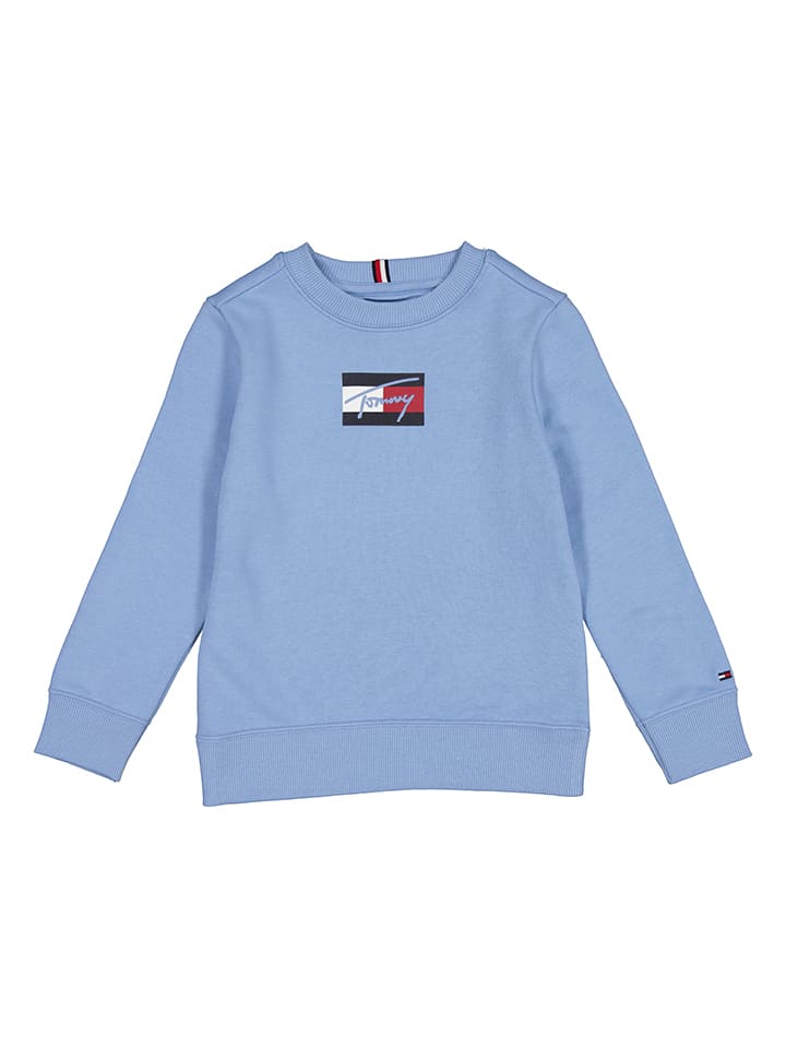Светло-голубая толстовка Tommy Hilfiger
Светло-голубая толстовка Tommy Hilfiger
