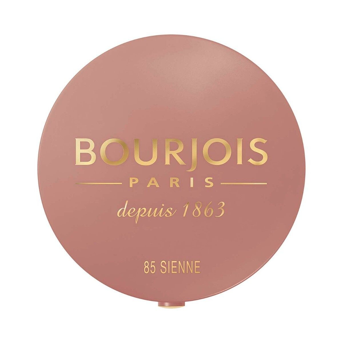 Bourjois Pastel Joues румяна для щек, 85 Sienne
Bourjois Pastel Joues румяна для щек, 85 Sienne