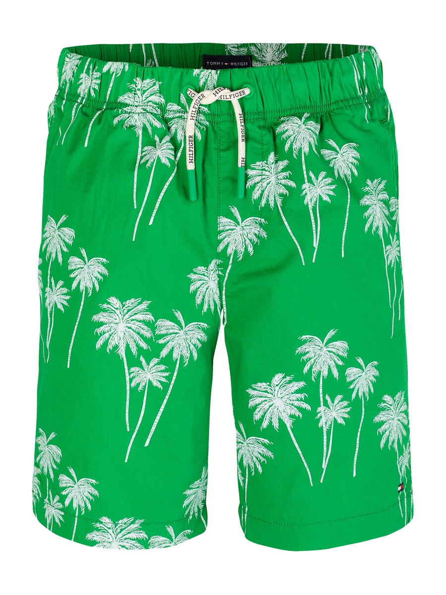 Обычные брюки TOMMY HILFIGER, зеленый
Обычные брюки TOMMY HILFIGER, зеленый