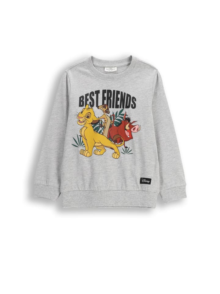 Coccodrillo Футболка с длинными рукавами серого цвета
Coccodrillo Футболка с длинными рукавами серого цвета