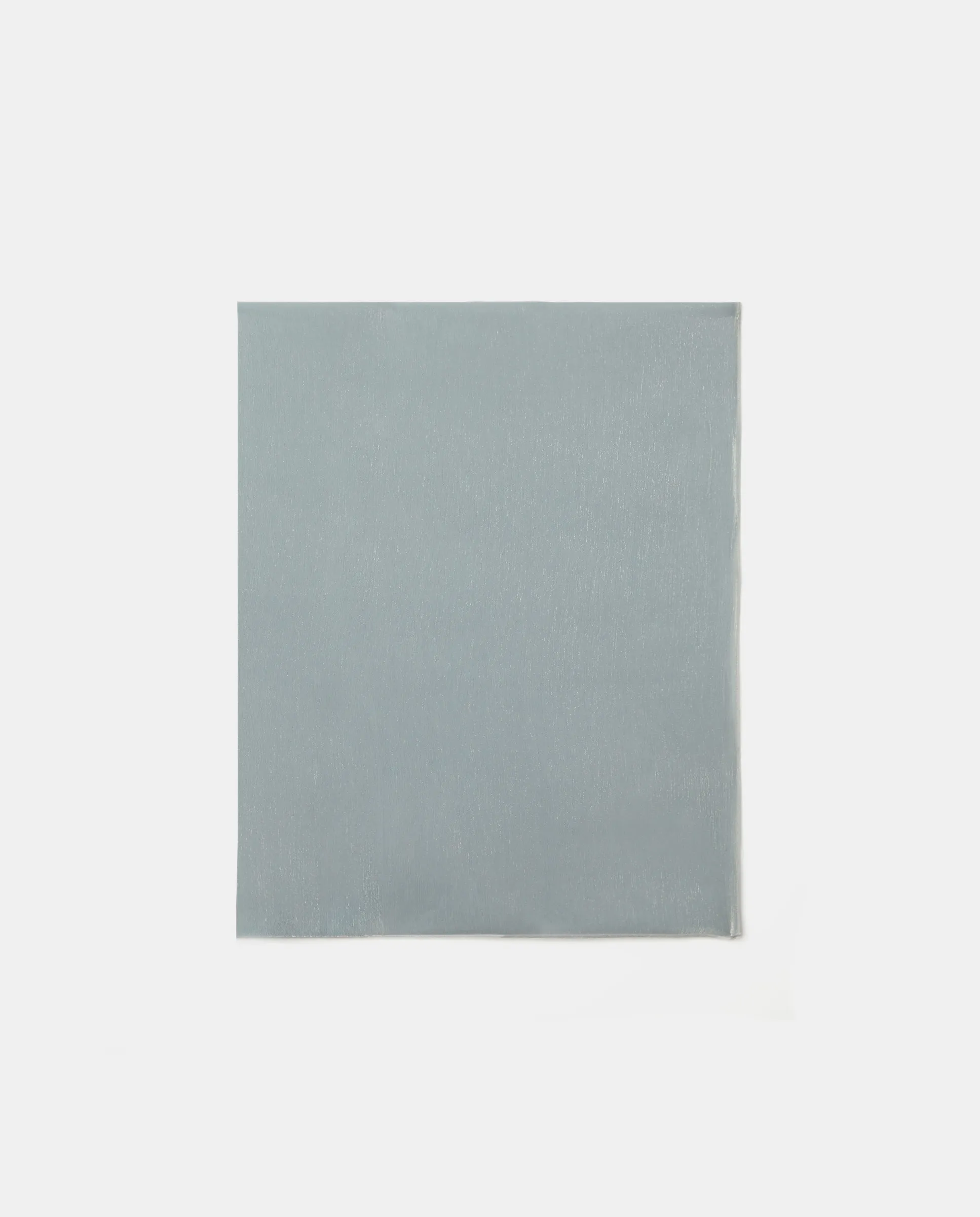 Блестящий однотонный шарф Banarassi, серебряный
Блестящий однотонный шарф Banarassi, серебряный