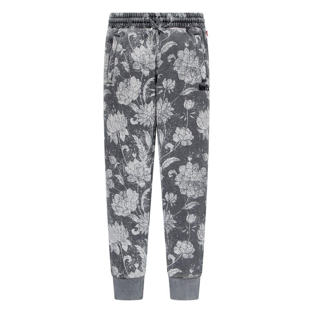 Джоггеры Levi´s Discharge, серый
Джоггеры Levi´s Discharge, серый