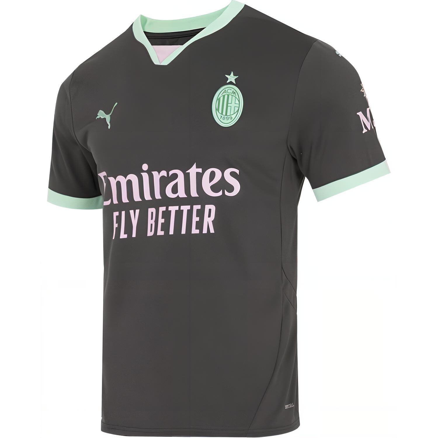 Футболка мужская Carbon Black Puma, черный
Футболка мужская Carbon Black Puma, черный