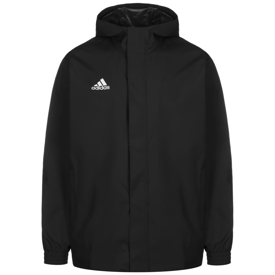 Спортивная куртка ADIDAS PERFORMANCE Entrada 22, черный
Спортивная куртка ADIDAS PERFORMANCE Entrada 22, черный