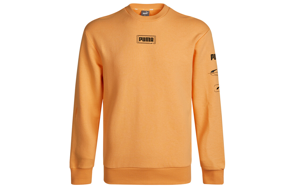Толстовка мужская оранжевая Puma, оранжевый
Толстовка мужская оранжевая Puma, оранжевый
