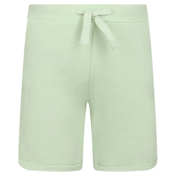 Активные шорты стандартного кроя Guess, зеленый
Активные шорты стандартного кроя Guess, зеленый