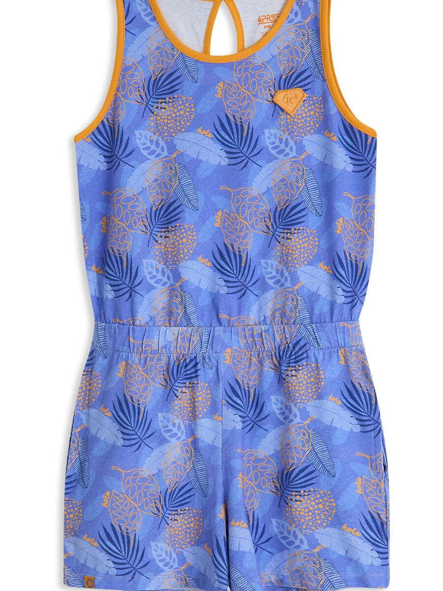 Комбинезон 4PRESIDENT Nicia Aop, синий
Комбинезон 4PRESIDENT Nicia Aop, синий