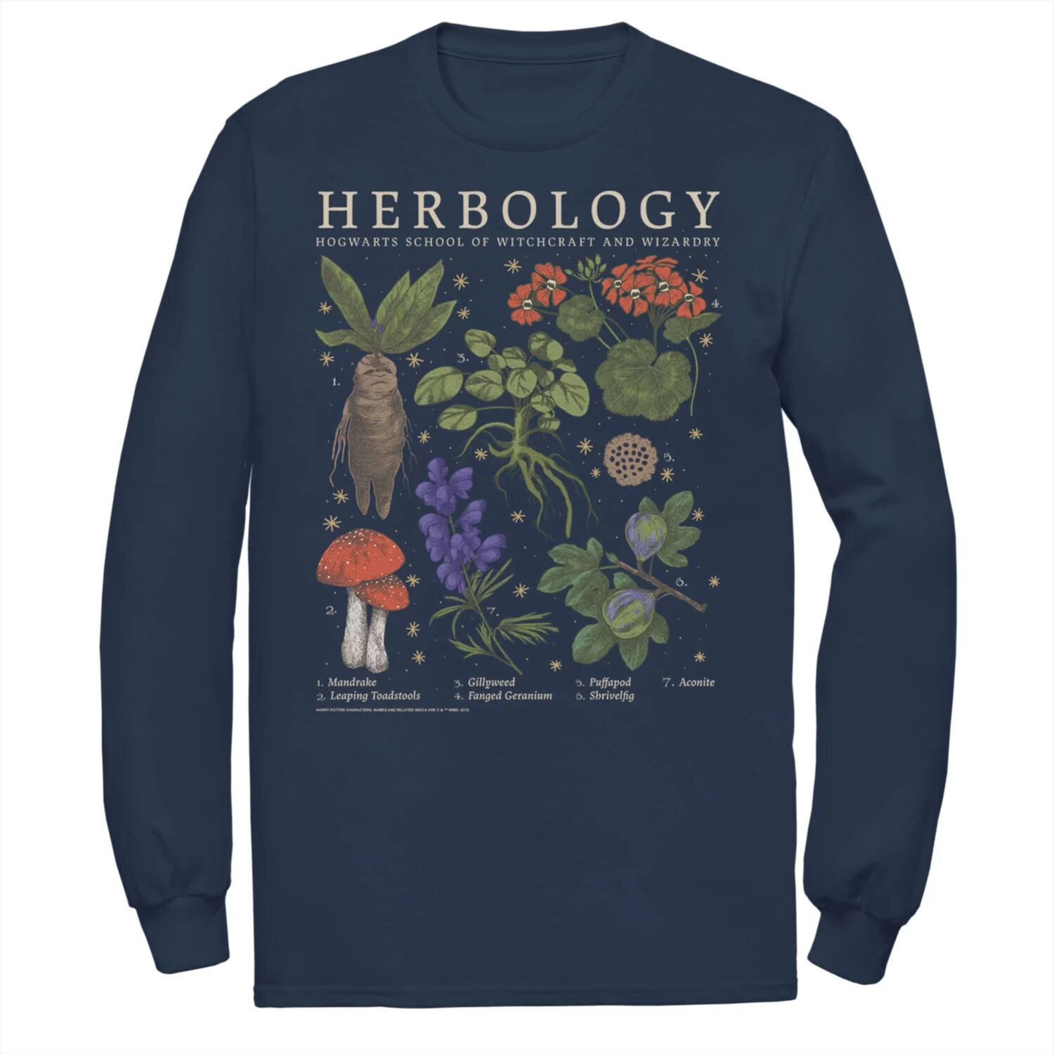 Мужская футболка с сеткой Harry Potter Herbology Herb Reference
Мужская футболка с сеткой Harry Potter Herbology Herb Reference