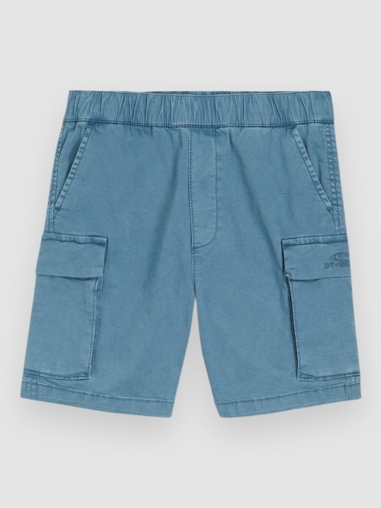 Шорты O'Neill Cargo Kids Shorts, copen blue
Шорты O'Neill Cargo Kids Shorts, copen blue