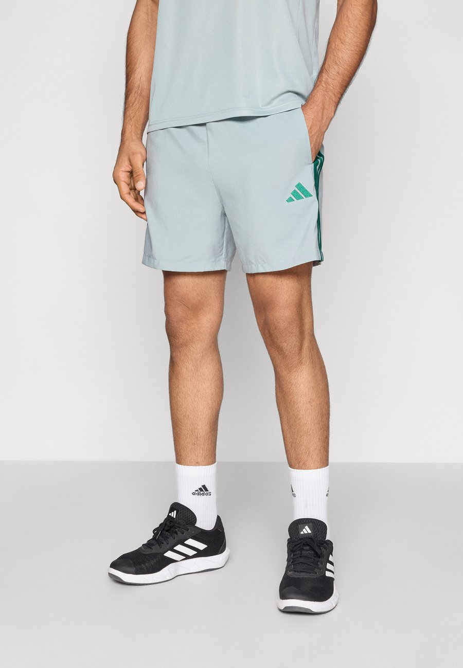 Спортивные шорты Adidas Sportswear CHELSEA, Sage/Collegiate Green/Light Green
Спортивные шорты Adidas Sportswear CHELSEA, Sage/Collegiate Green/Light Green