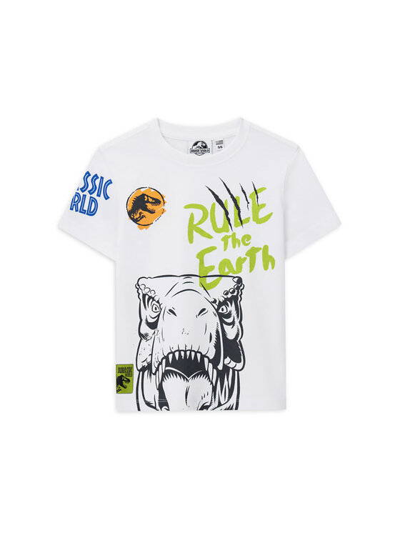 Футболка обычного кроя DFPV2263CM Original Marines, белый
Футболка обычного кроя DFPV2263CM Original Marines, белый