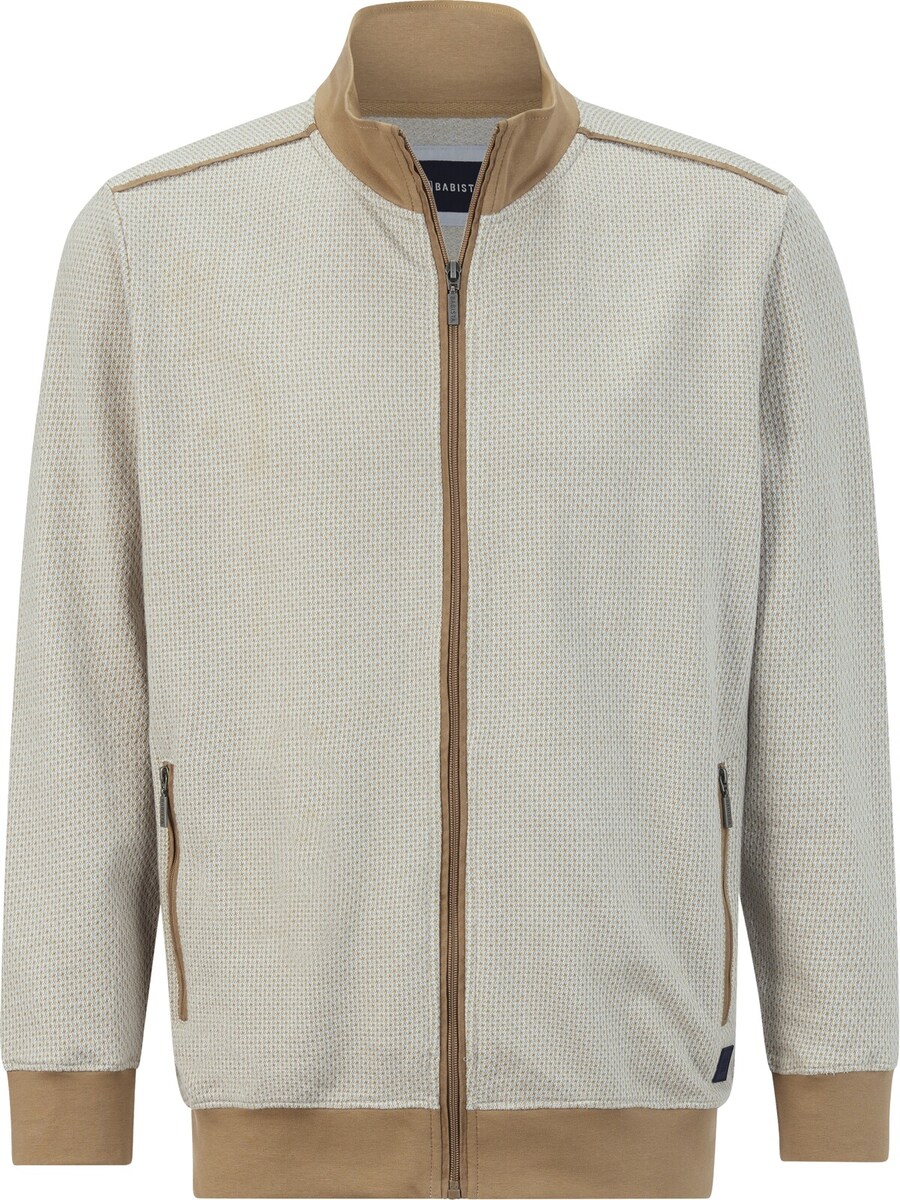 Толстовка с капюшоном на молнии BABISTA Harion, синий
Толстовка с капюшоном на молнии BABISTA Harion, синий