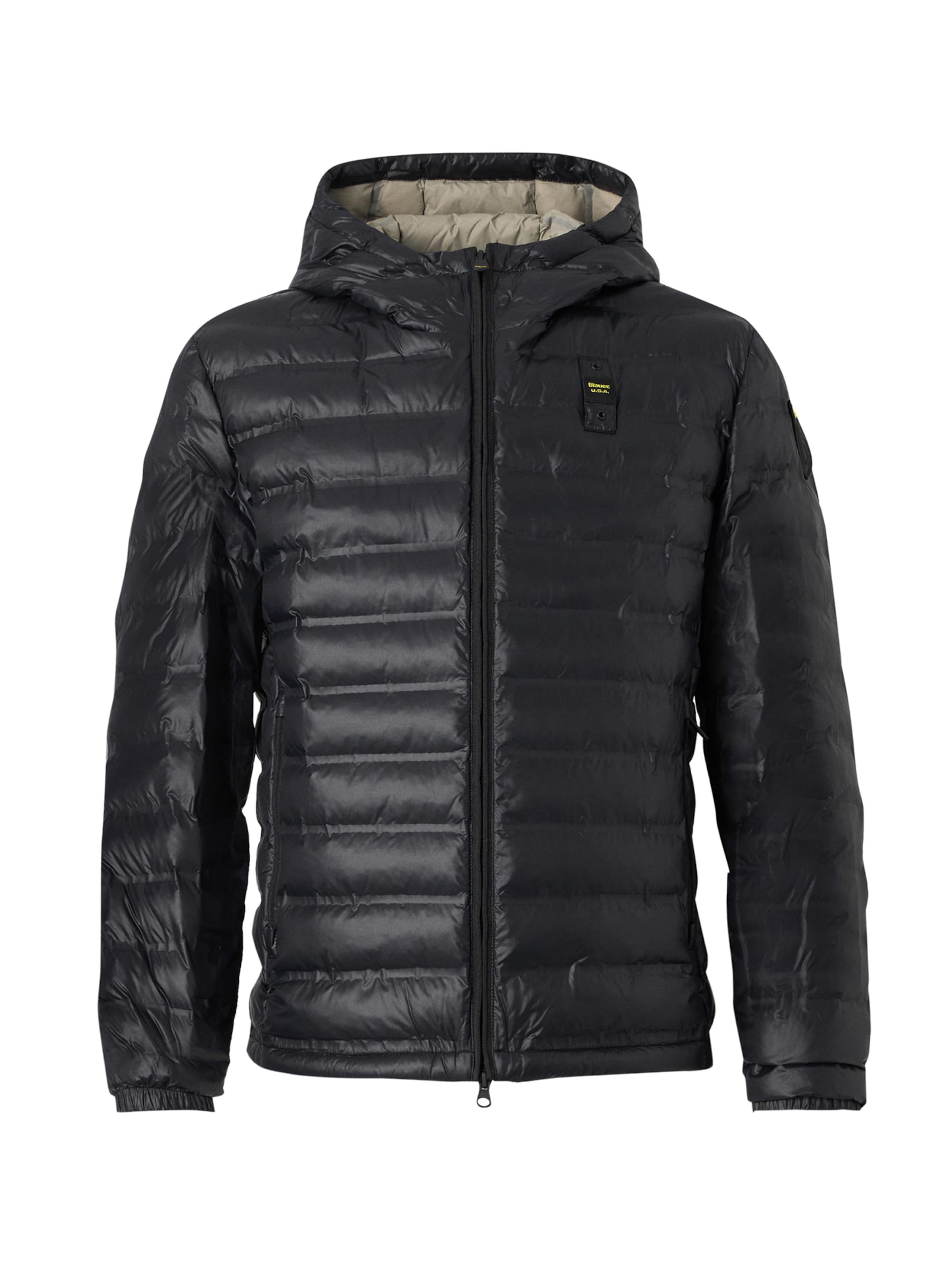 Blauer.USA Куртка межсезонная 'CHARLES' в черном цвете
Blauer.USA Куртка межсезонная 'CHARLES' в черном цвете