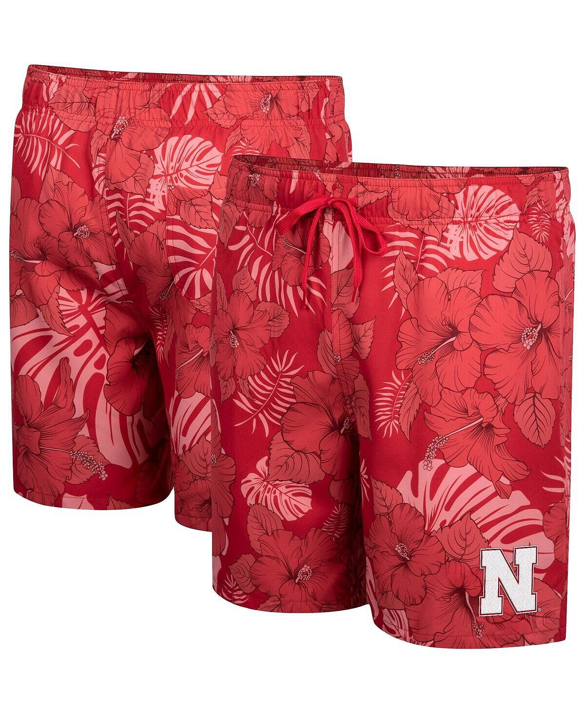 Мужские шорты для плавания scarlet nebraska huskers the dude Colosseum
Мужские шорты для плавания scarlet nebraska huskers the dude Colosseum