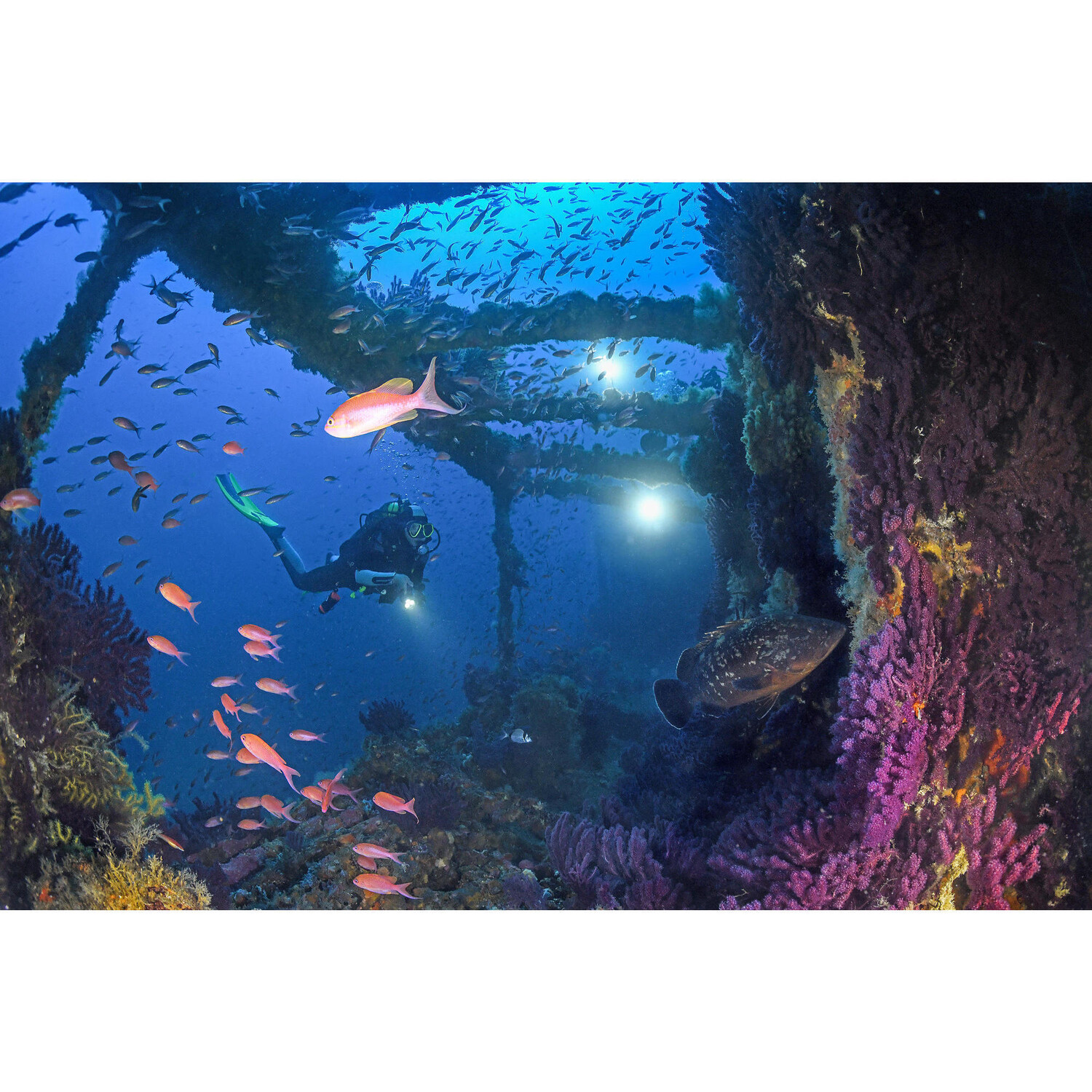 Гидрокостюм полусухой дайвинг SCD 500 SD 7 мм женский SUBEA, серо-голубой/черный/светло-голубой
Гидрокостюм полусухой дайвинг SCD 500 SD 7 мм женский SUBEA, серо-голубой/черный/светло-голубой