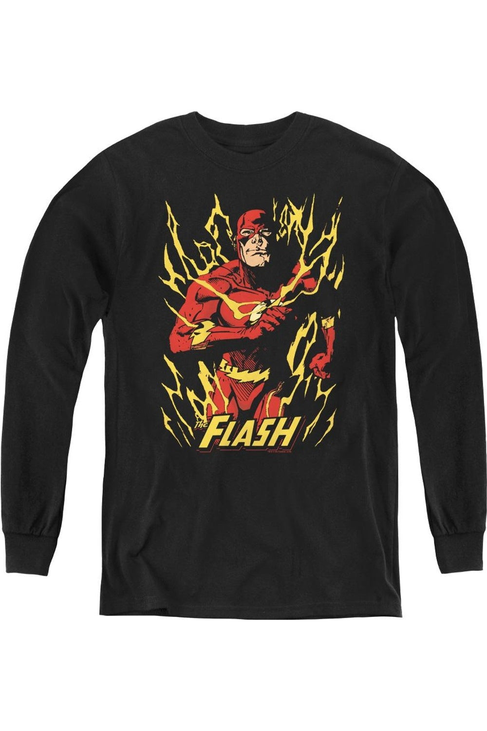 Футболка с длинным рукавом "Justice League of America Flash Flare" для молодежи Gildan, черный
Футболка с длинным рукавом "Justice League of America Flash Flare" для молодежи Gildan, черный