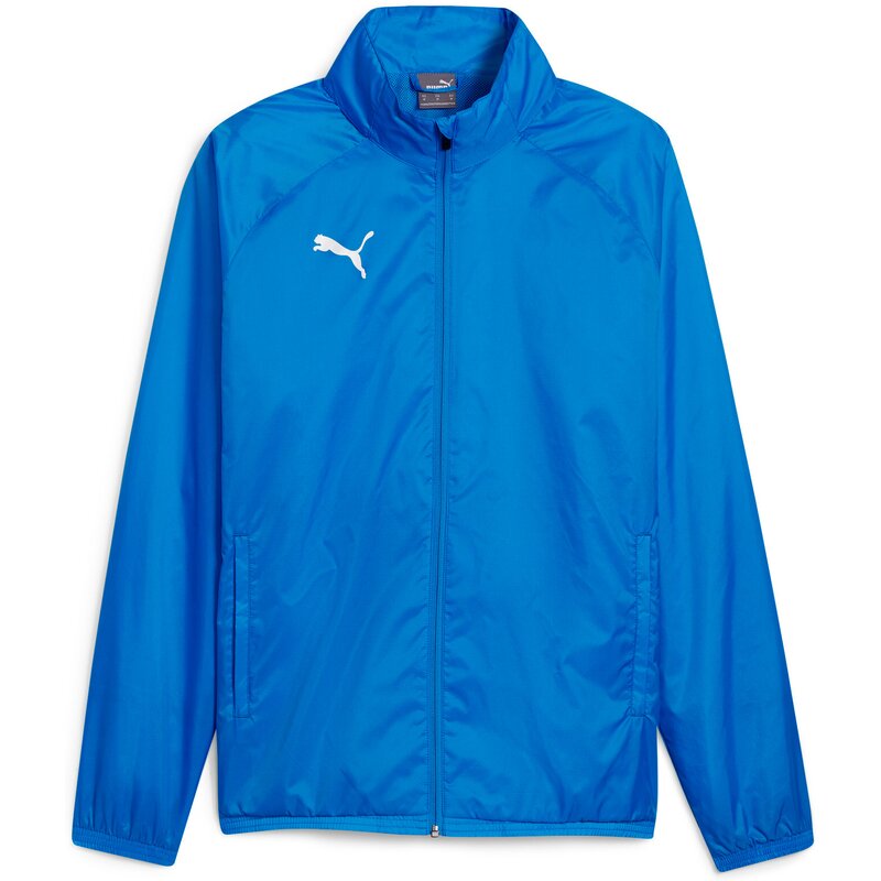 Всепогодная куртка Blouson TeamGoal Puma, белый
Всепогодная куртка Blouson TeamGoal Puma, белый