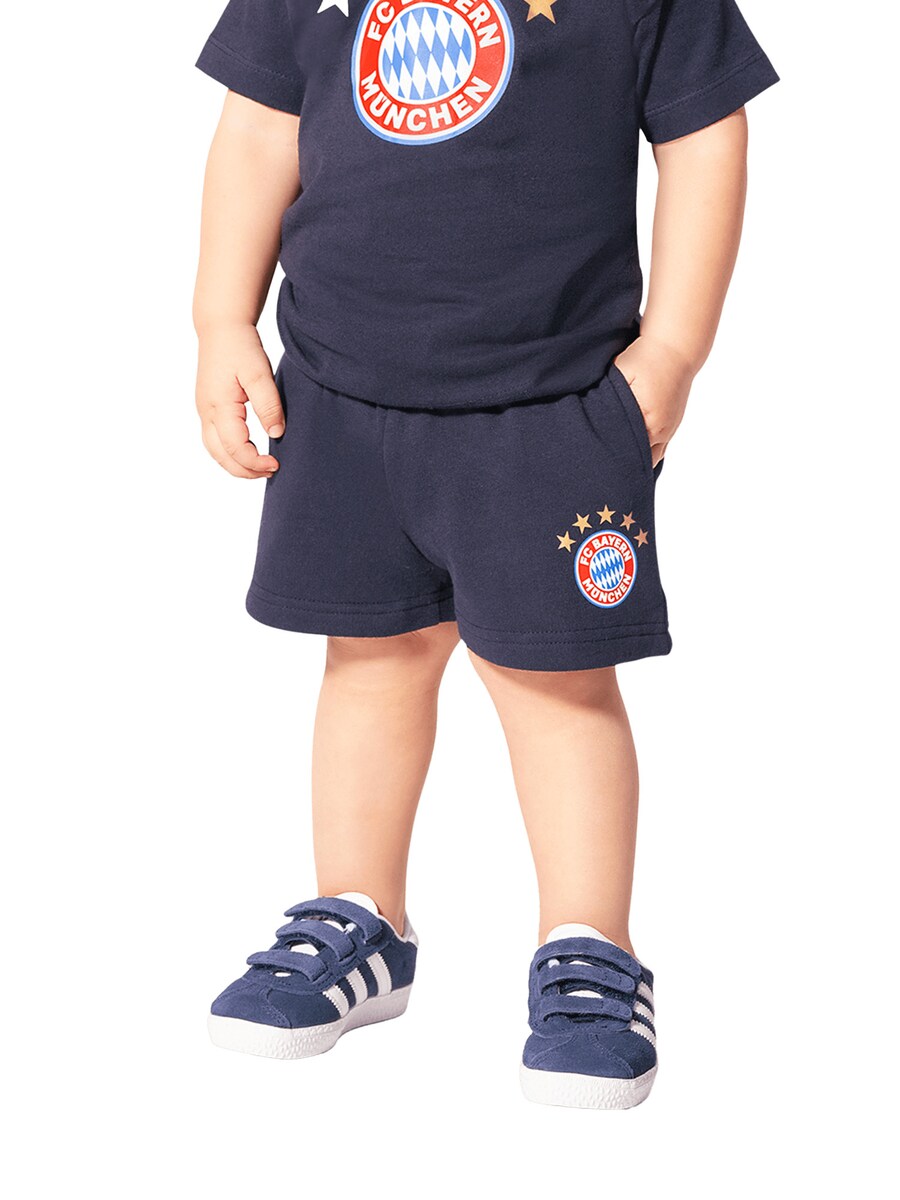 Обычные брюки FC BAYERN MÜNCHEN Essential, темно-синий/светло-синий
Обычные брюки FC BAYERN MÜNCHEN Essential, темно-синий/светло-синий