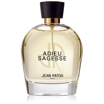 JEAN PATOU Adieu Sagesse Eau de Parfum Spray 100ml Collection Heritage
JEAN PATOU Adieu Sagesse Eau de Parfum Spray 100ml Collection Heritage