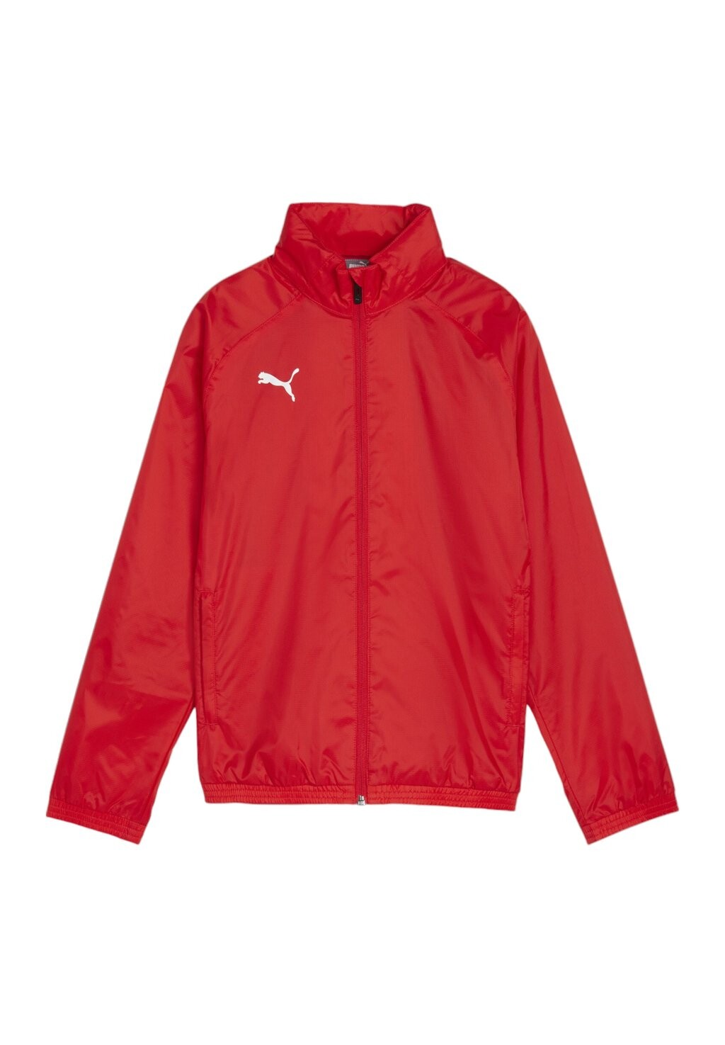 Тренировочная куртка TEAMGOAL ALLWEATHER JR Puma, красный
Тренировочная куртка TEAMGOAL ALLWEATHER JR Puma, красный