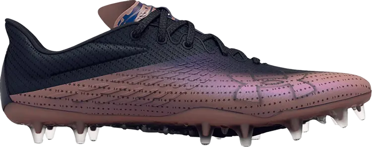 Бутсы Under Armour Wmns Blur Smoke MC Black Metallic Rose Gold, черный
Бутсы Under Armour Wmns Blur Smoke MC Black Metallic Rose Gold, черный