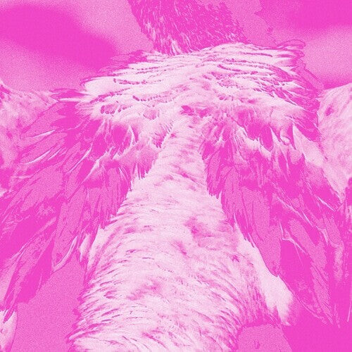 CD диск Carr, Kate: A field guide to phantasmic birds
CD диск Carr, Kate: A field guide to phantasmic birds